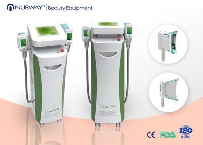 China New 2 handles cryolipolysis cellulite reduction equipment for whole body slimming for spa for sale