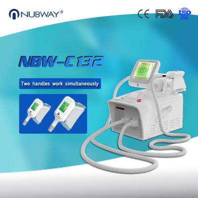 China Portable Latest Professional Cryolipolysis Fat Freeze Slimming Machine for sale