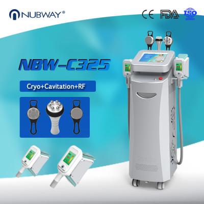 China 5 Handles Fat Loss Cavitaion RF Weight Loss Fat Freezing Cryolipolysis Body slimming for sale