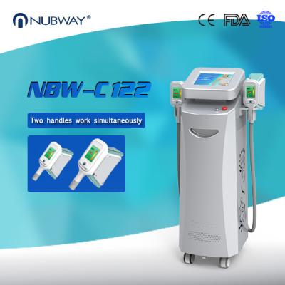 China Cryo Machine Weight Loss  Fat Freezing Cryolipolysis Slimming Machine for sale