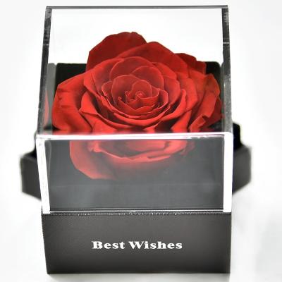 China Fashional Rose Fresh Flower Jewelry Gift Box Red Valentine's Day Amazon Nice Selling Preserved for sale