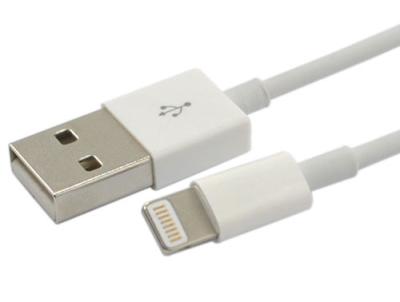 China White USB Charging & Syncing Cable A Male to 8pin Lightning connector for Apple for sale