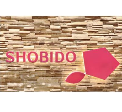 China Building Interior Acrylic Luminous Characters SHIBIDO Light Signs for sale