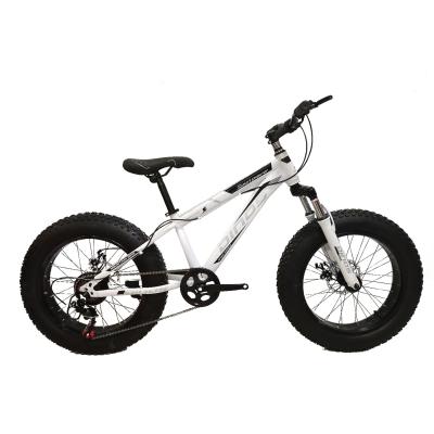 China Adult MTB Moutain Bike HUAQIA 29 Inch High Modulus Carbon Fiber Mountain Bike MTB Cycle Snow Cheap Bike HQF-505 for sale