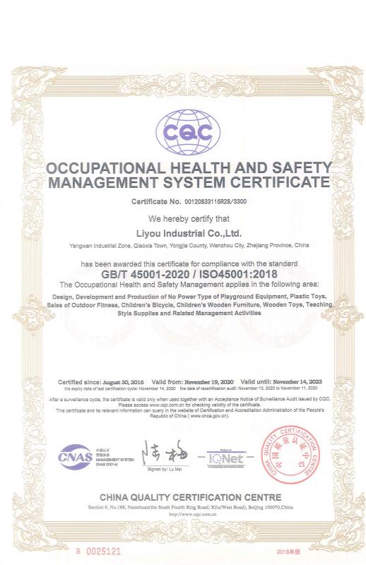 ISO45001 - Liyou Industrial Co., Ltd.