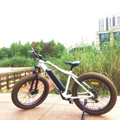 China Aluminum alloy mountain electric bike MTB e motor lithium battery rear sunny bike for sale