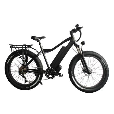 China RSEB-502 Aluminum Alloy Heavy Load Mountain Chinese Changzhou Electric Bicycle for sale