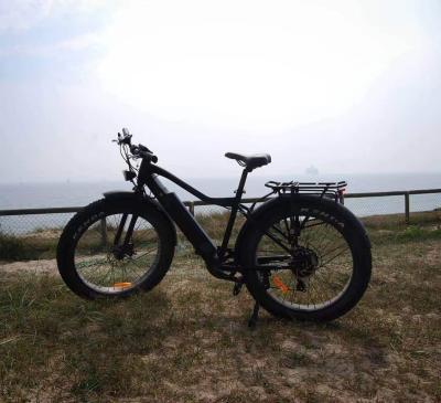 China Aluminum alloy new technology battery 500w 750w mountain hidden electric bicycle with suspension for sale