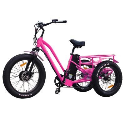 China Big power aluminum alloy fat tire tricycle electric bicycle with best quality and low price for sale