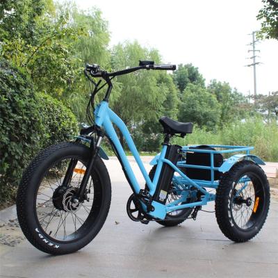 China 2018 48V 500W 3 wheel tire electric fat bike dzy electric tricycle from China for sale