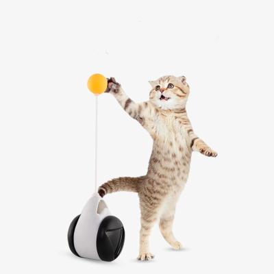 China Hot Sale Cat Toys 2021 Cat Rocker Swing Balance Car Kitten Interactive Toys for sale