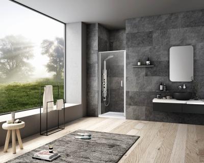 China Australia Modern Hot Selling Pivot Bathroom Glass Door for sale