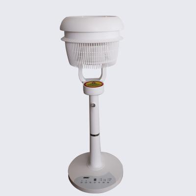 China Can add aromatherapy 2022 portable remote control water and air circulation the filling of vertical fan household appliances for sale