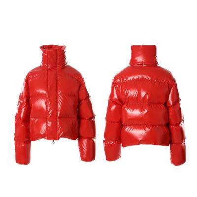 China 2021 Winter New Arrival Waterproof Vinyl Cropped Stripper Jacket Down Jacket Women for sale