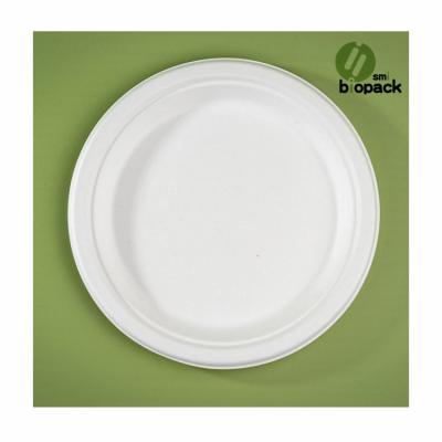 China Modern Hot Selling Disposable Tableware 100% Bagasse Food Dinner Dish Disposable Biodegradable Dish for sale