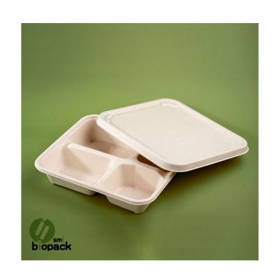 China Modern Factory Wholesale Disposable Tableware With Lid Bagasse 4 Compartment Biodegradable Food Bowl for sale