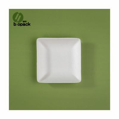 China Best Selling 2021 Disposable Sugarcane Disposable Mini Sauce Dish Biodegradable Dish for sale