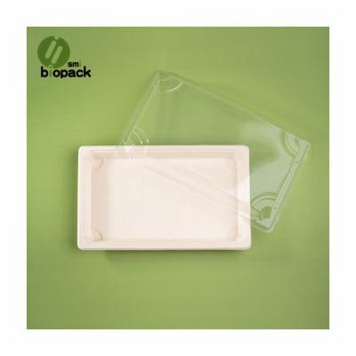 China Customized Traditional Customized Eco-Friendly Sushi Tableware Rectangular Biodegradable Bagasse Disposable Food Packaging Sugarcane Tableware for sale