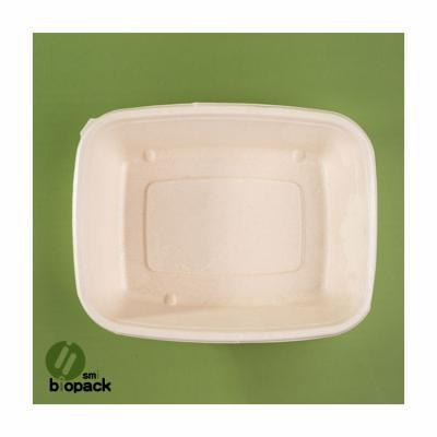 China Modern Disposable Food Tray Environmentally Friendly Degradable Square Bagasse Food Packaging Tray for sale