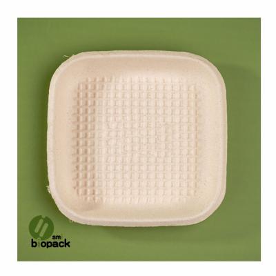 China Environmentally Friendly Degradable Disposable Food Tray Square Food Packaging Tray of Modern Bagasse for sale