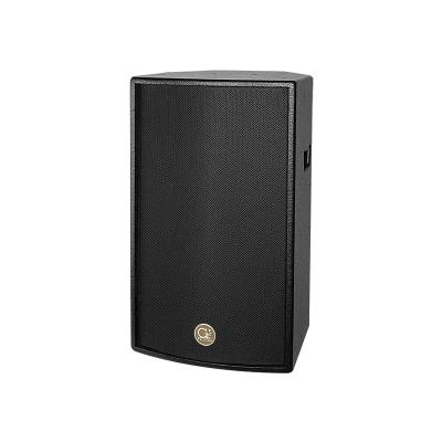 China KTV TR.LIGE full range 12 inch speaker multifunctional karaoke sound system for sale