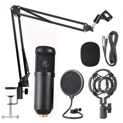 China Original Metal Style Wireless Home Entertainment Karaoke USB Microphone TV Microphone ABS Material Connect Portable Product Place Model for sale