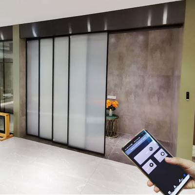 China APP Modern Electric Smart Automatic Sensor WIFI Glass Door Sliding Automatic Linear Magnetic Kitchen Electric Doors Automatic Sliding Door for sale