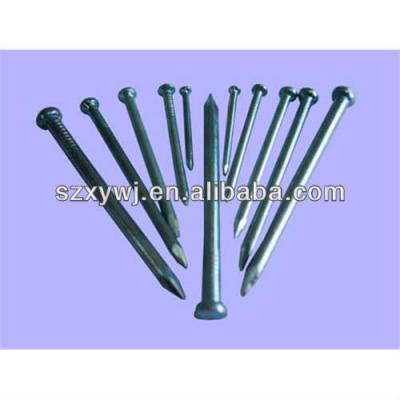 China Hot Sale Common Iron Nails To Saudi Arabia for sale