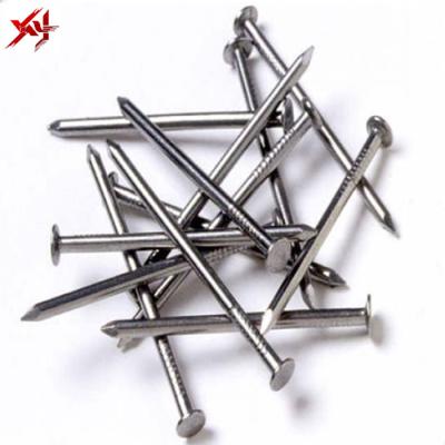 China Common Iron Cheap Price Best Selling Wire Paddle Coil Nails for sale