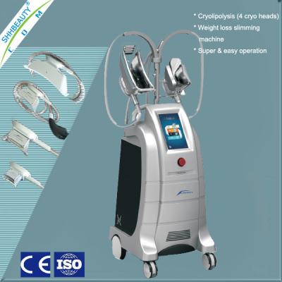 China Vertical Fat Freezing Cryolipolysis for sale