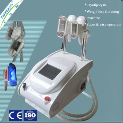 China Cuerpo de congelación gordo blanco de SH245B Cryolipolysis que adelgaza el material del ABS de la máquina en venta