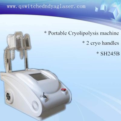 China Portable Home Use Fat Freeze Device , Cryolipolysis Body Slimming Equipment for sale