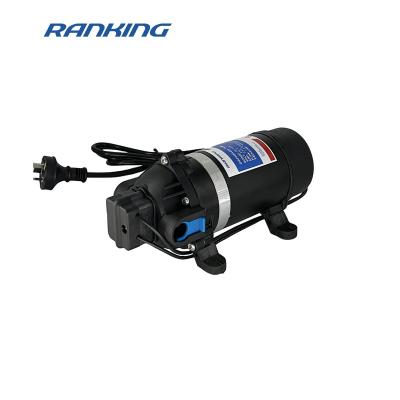 China Rv Tidying DP-120A 230V AC High Pressure Portable RV Diaphragm Water Pump For Road Car Cleaning Washer for sale