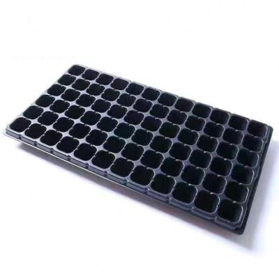 China Eco-Friendly seed tray tallseedling plug for sale