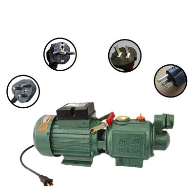 China Other household 220V self-priming screw pump, high-lift automatic booster pump, high-pressure large-flow tap water pump for sale