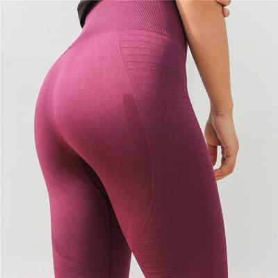 China OEM Antibacterial Custom Gym Yoga Sport Seamless Leggings For Women for sale