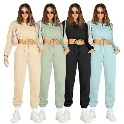 China QUICK DRY High Rating Women Sport Leisure Pants Sets Winter Sexy Belly Button Sports Where Pants Set for sale