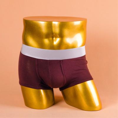 China Large Dummy Men's Underwear Hip Muscle Gold Silver Gold Mannequin Hip Show Shorts And Male Shorts And Show Underwear for sale