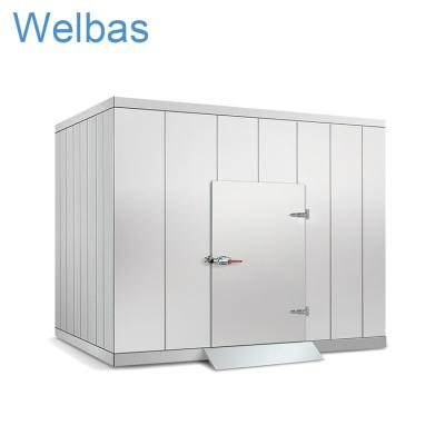 China High Quality Customized Walk-in Hotels Cold Room Storage For Keeping Fresh for sale