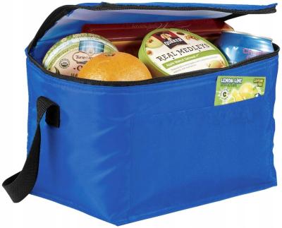 China Mini 6 Insulated Portable Boxes Insulated 6 Box Thermal Lunch Cooler Bag With Front Pocket for sale