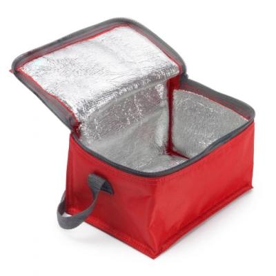 China Mini Polyester Insulated Aluminum Foil Liner 6 Box Portable Insulated Thermal Cooler Cooler Bag For Promotion for sale