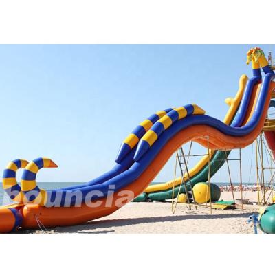 China Long inflatable swimming pool water slide for kids and adults for sale