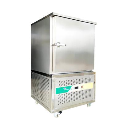 China Malaysia Hotels Prosky Fish Cryogenic Fast Shock Refrigerator Blast Freezer Freezer Machine for sale