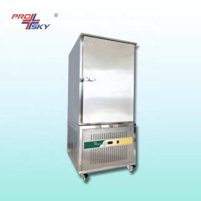 China Small Scale Hotels Instant Blast Freezer For Frozen French Fries for sale