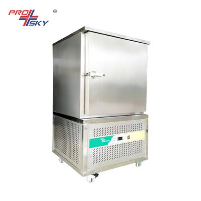 China Hotels Small Fast Blast Freezer Ice Cream Freezer /Commercial Deep Vertical Freezer Machine For Sale for sale