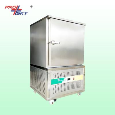 China Prosky Hotels Fish Shock Mini IQF Freezing Machine Blast Freezer For Cold Room Freezer for sale