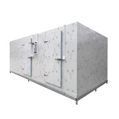 China PROSKY Container 10ft Cold Storage Room Walk In Blast Freezer Container For Vegetables Meat And Fish for sale