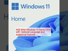 4GB RAM Windows 11 Home OEM with Optional Language and Additional Features