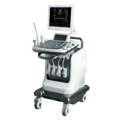 China 2021 Hot Selling Metal Trolley Color Doppler Ultrasound System 2D Full Digital Color Doppler for sale