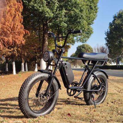 China China Factory Wholesale 48V Steel Tire 1000W Electric Bike for sale